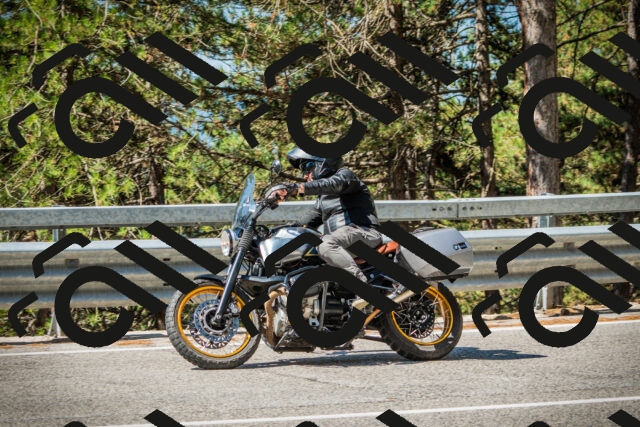 202508091038-DSC03447_c1_