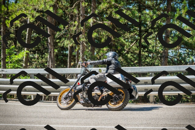 202508091038-DSC03449_c1_