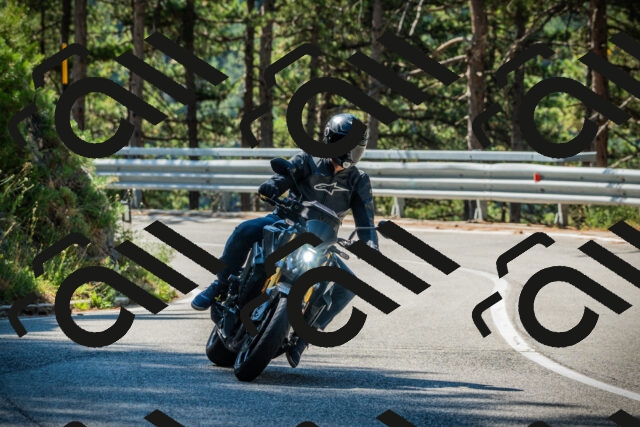 202508091039-DSC03459_c1_