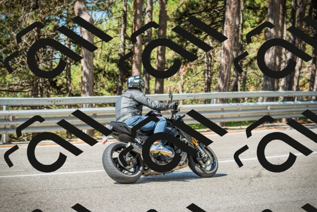 202508091039-DSC03462_c1_