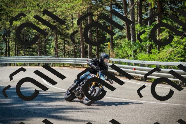 202508091040-DSC03469_c1_