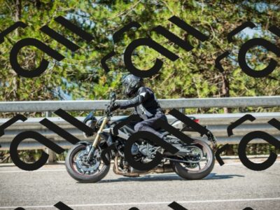 202508091040-DSC03473_c1_