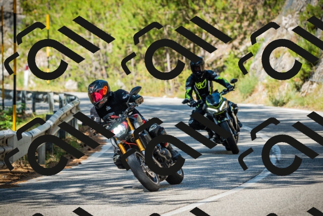 202508091048-DSC03545_c1_