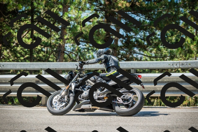 202508091048-DSC03548_c1_