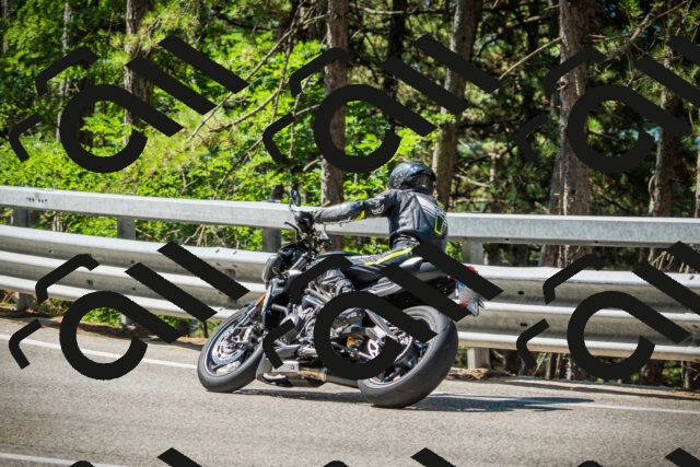 202508091048-DSC03549_c1_