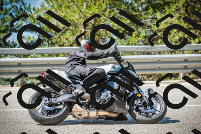 202508091050-DSC03552_c1_