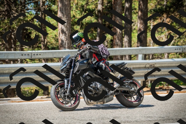 202508091050-DSC03553_c1_