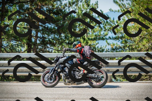 202508091050-DSC03554_c1_