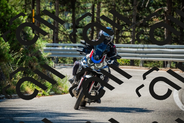 202508091050-DSC03557_c1_