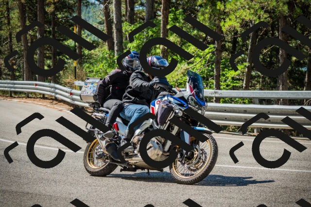 202508091050-DSC03559_c1_