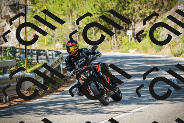 202508091052-DSC03562_c1_