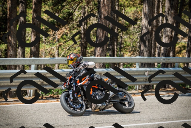 202508091052-DSC03563_c1_