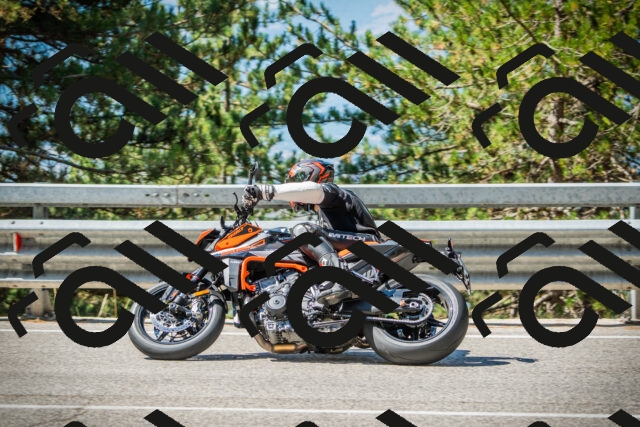 202508091052-DSC03564_c1_