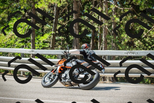 202508091052-DSC03565_c1_