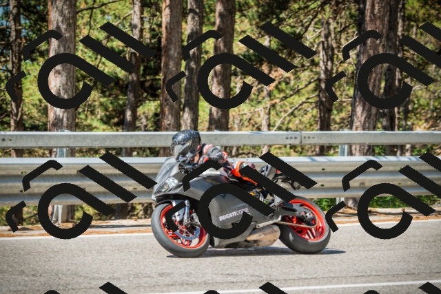 202508091052-DSC03567_c1_