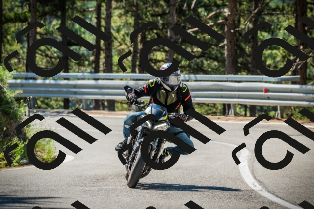 202508091053-DSC03571_c1_