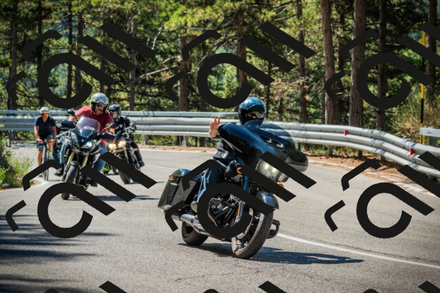 202508091053-DSC03579_c1_