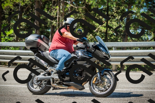 202508091053-DSC03582_c1_