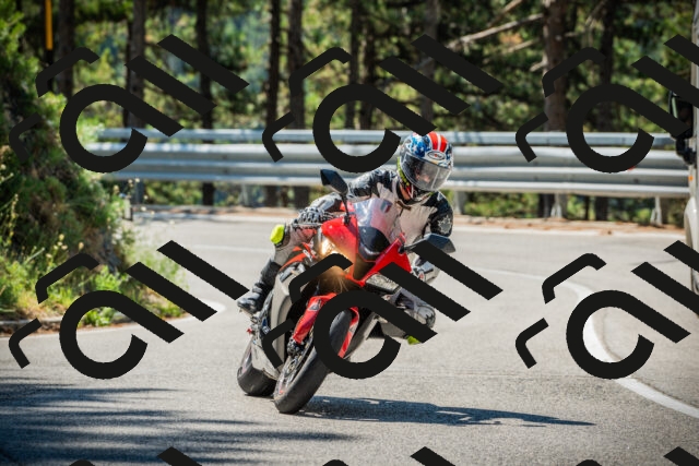 202508091054-DSC03588_c1_