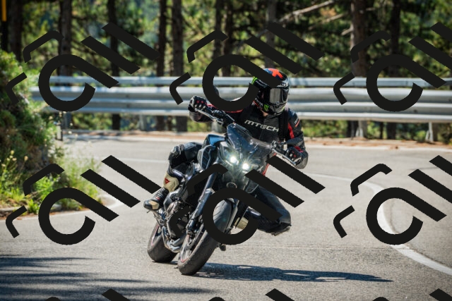 202508091054-DSC03593_c1_