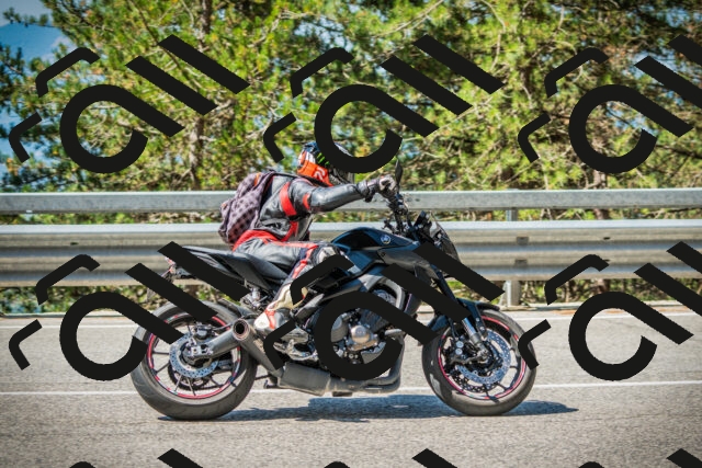 202508091054-DSC03595_c1_