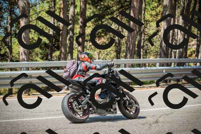 202508091054-DSC03596_c1_