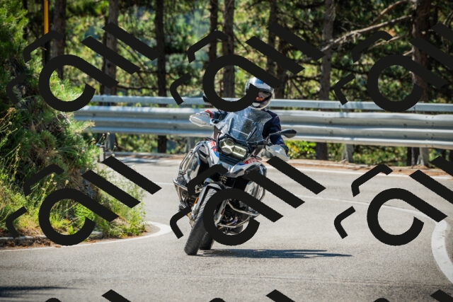 202508091058-DSC03604_c1_