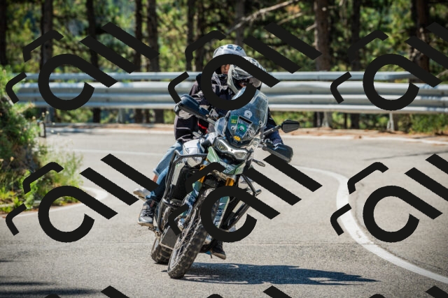 202508091058-DSC03614_c1_