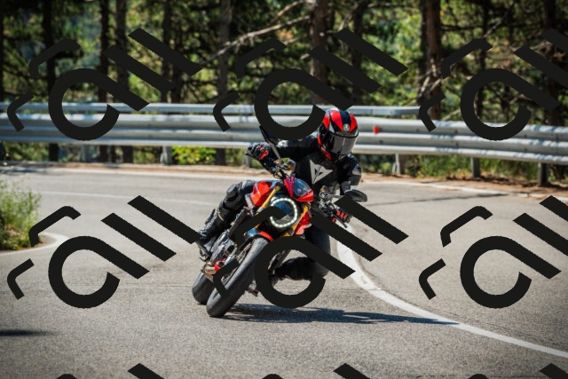 202508091059-DSC03619_c1_