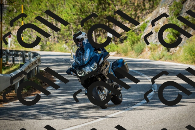 202508091101-DSC03629_c1_