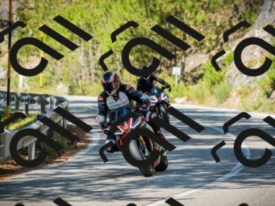 202508091101-DSC03633_c1_