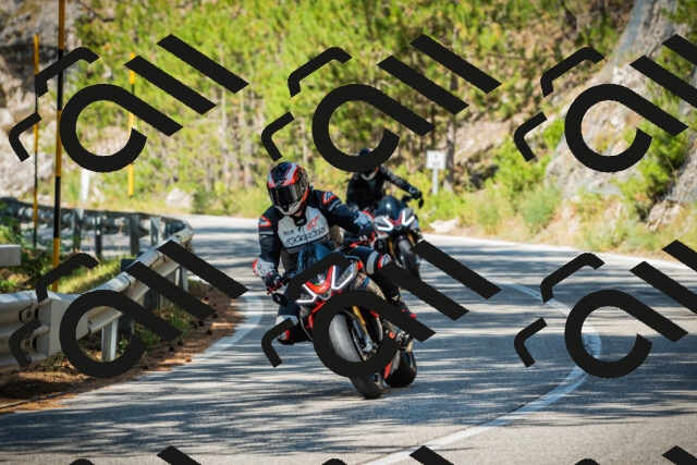 202508091101-DSC03633_c1_