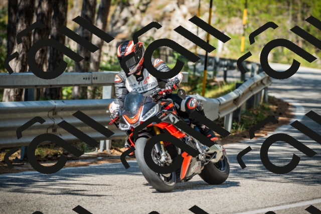 202508091101-DSC03634_c1_