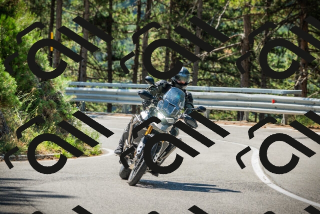 202508091101-DSC03638_c1_