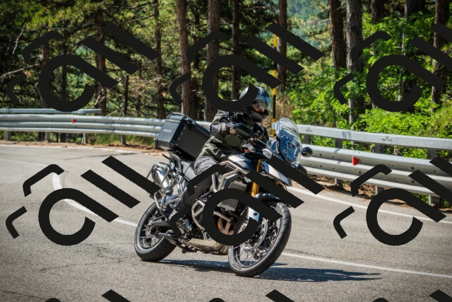 202508091101-DSC03639_c1_