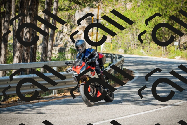 202508091102-DSC03642_c1_