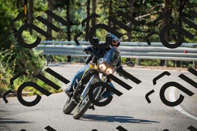 202508091103-DSC03653_c1_