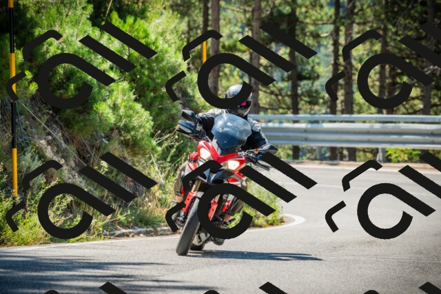 202508091103-DSC03656_c1_