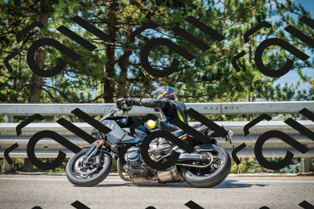 202508091103-DSC03664_c1_