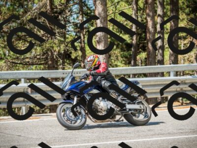 202508091103-DSC03667_c1_