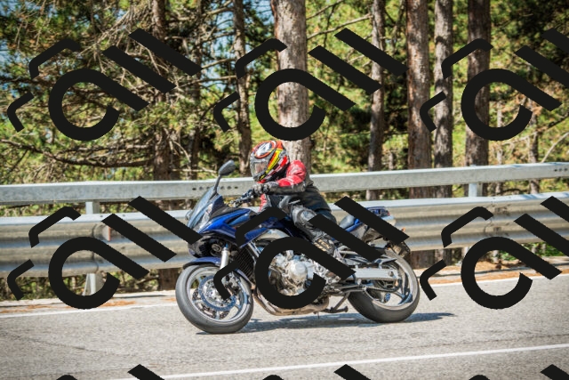 202508091103-DSC03667_c1_