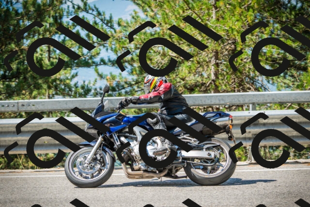 202508091103-DSC03668_c1_