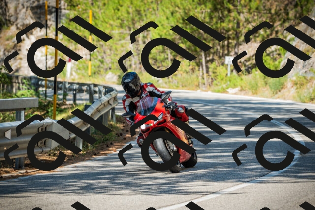 202508091103-DSC03669_c1_