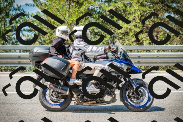 202508091105-DSC03674_c1_