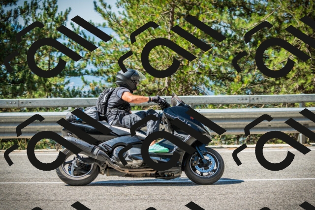 202508091105-DSC03678_c1_