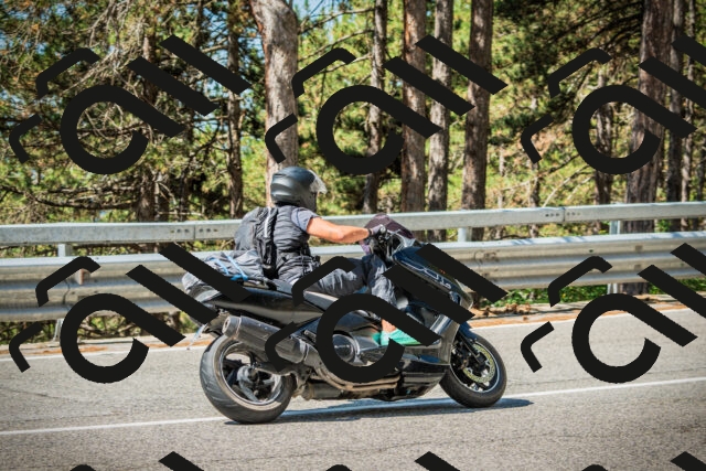 202508091105-DSC03679_c1_