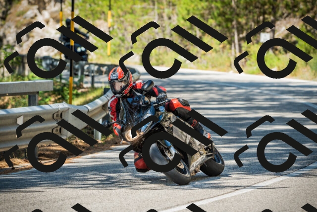 202508091106-DSC03681_c1_