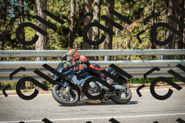 202508091106-DSC03682_c1_