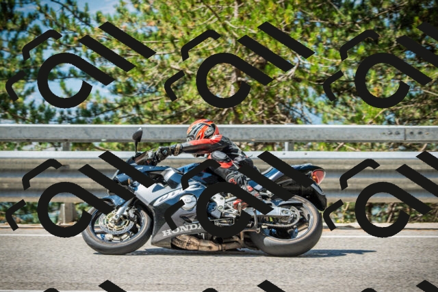 202508091106-DSC03683_c1_