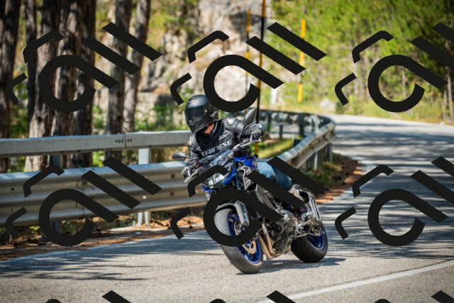 202508091106-DSC03684_c1_